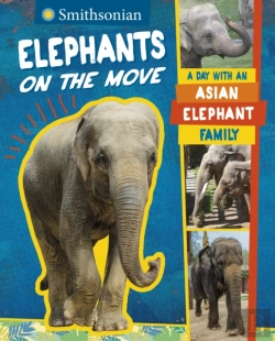 Bertrand.pt - Elephants On The Move