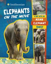 Elephants On The Move