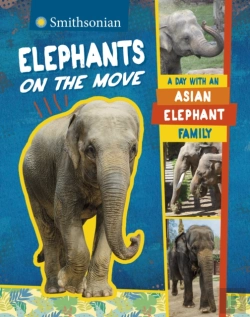 Bertrand.pt - Elephants On The Move