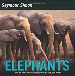 Bertrand.pt - Elephants Pb