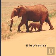 Elephants