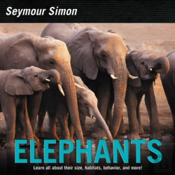 Bertrand.pt - Elephants