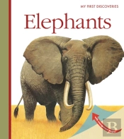 Elephants
