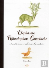 Elephasme, Rhinolophon, Cameluche Et Autres Merveilles De La Na