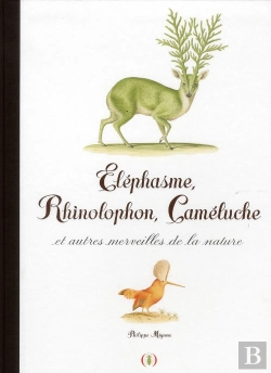 Bertrand.pt - Elephasme, Rhinolophon, Cameluche Et Autres Merveilles De La Na