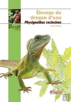 Bertrand.pt - Elevage Du Dragon D Eau ; Physignathus Cocincinus