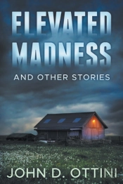 Elevated Madness And Other Stories