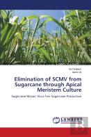 Elimination Of Scmv From Sugarcane Through Apical Meristem Culture