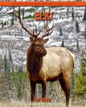 Elk! An Educational Children'S Book About Elk With Fun Facts