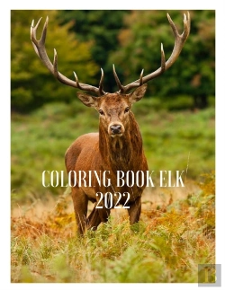 Bertrand.pt - Elk