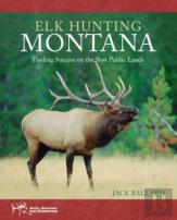 Elk Hunting Montana
