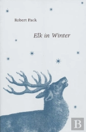 Elk In Winter
