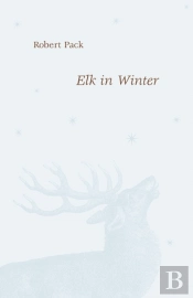 Elk In Winter