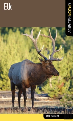 Bertrand.pt - Elk