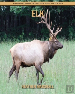 Bertrand.pt - Elk