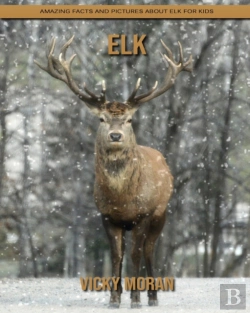 Bertrand.pt - Elk
