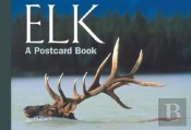 Elk