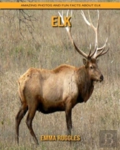 Elk