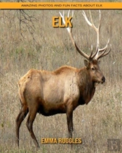 Bertrand.pt - Elk