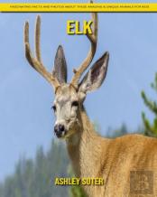Elk