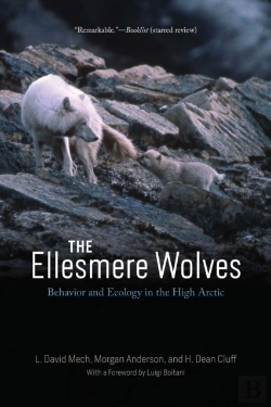Bertrand.pt - Ellesmere Wolves