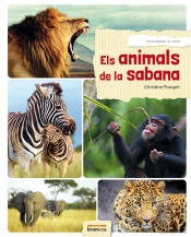 Els Animals De La Sabana