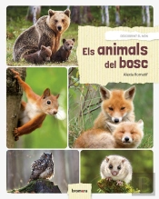 Els Animals Del Bosc