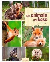 Els Animals Del Bosc