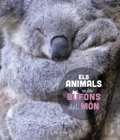 Els Animals Mes Bufons Del Mon