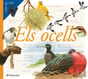Els Ocells