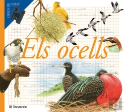Bertrand.pt - Els Ocells