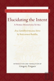 Elucidating The Intent