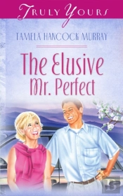 Elusive Mr. Perfect