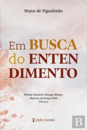 Em Busca do Entendimento