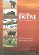 Em Busca dos Big Five