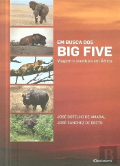 Em Busca dos Big Five