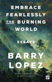 Embrace Fearlessly The Burning World