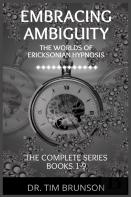Embracing Ambiguity