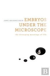 Embryos Under The Microscope