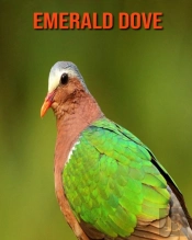 Emerald Dove