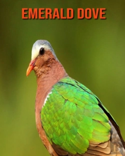 Bertrand.pt - Emerald Dove