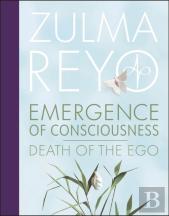 Emergence Of Consciousness