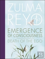 Emergence Of Consciousness