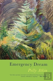 Emergency Dream