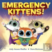 Emergency Kittens!