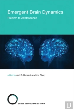 Bertrand.pt - Emergent Brain Dynamics