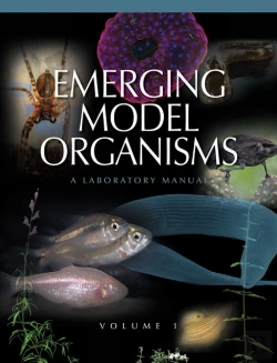 Bertrand.pt - Emerging Model Organisms