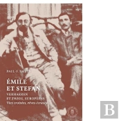 Emile Et Stephan : Verhaeren Et Zweig, Européens ; Vies Croisées, Rêves Écrasés