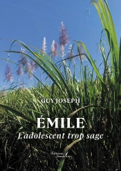Émile : L'Adolescent Trop Sage