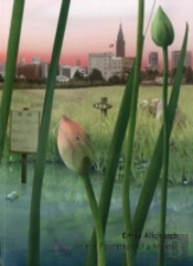 Emily Allchurch